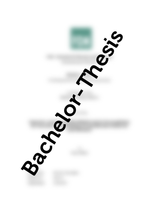 Bachelor Thesis