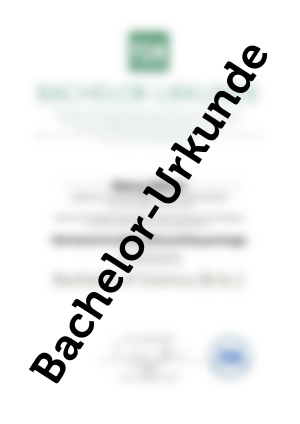 Bachelor Urkunde